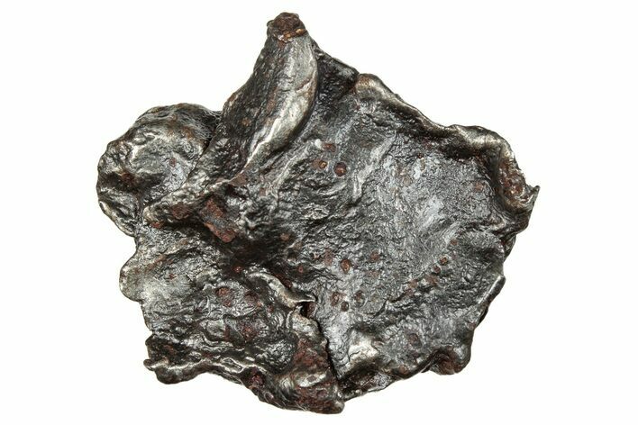 Sikhote-Alin Iron Meteorite Shrapnel ( g) - Russia #246962